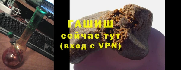 гидра Богданович