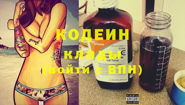 гидра Богданович