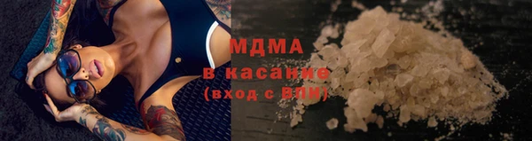 гидра Богданович