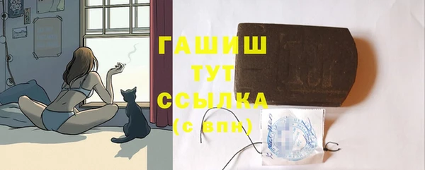 гидра Богданович