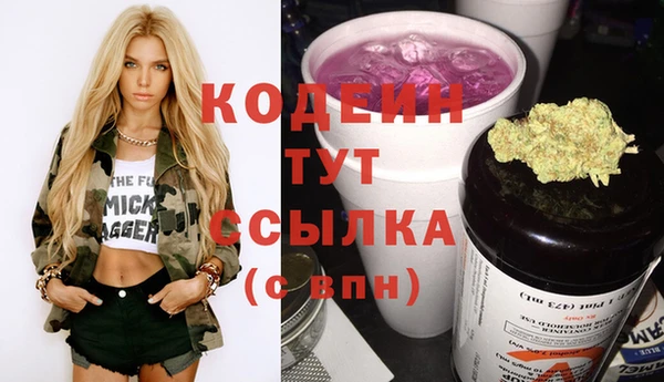 гидра Богданович