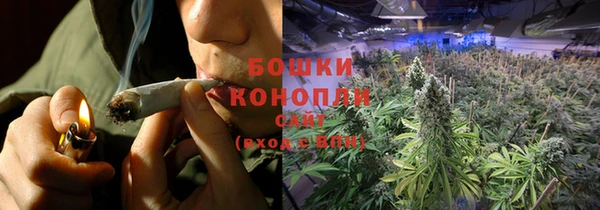 ПСИЛОЦИБИНОВЫЕ ГРИБЫ Богородицк
