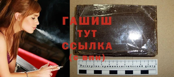 гидра Богданович