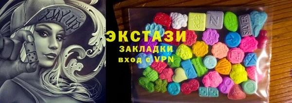 гидра Богданович
