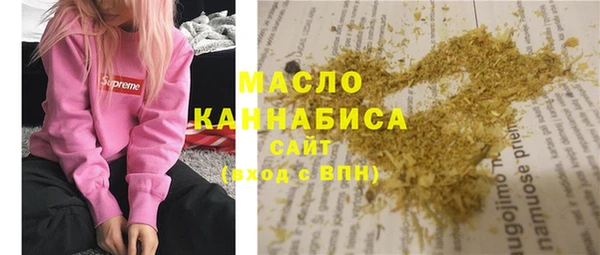 гидра Богданович