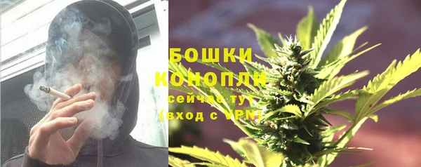 гидра Богданович